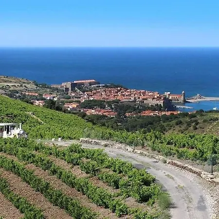 Charmant T2 Au Calme Avec Vue Mer, Proche Centre De Collioure Et Parking Exterior photo