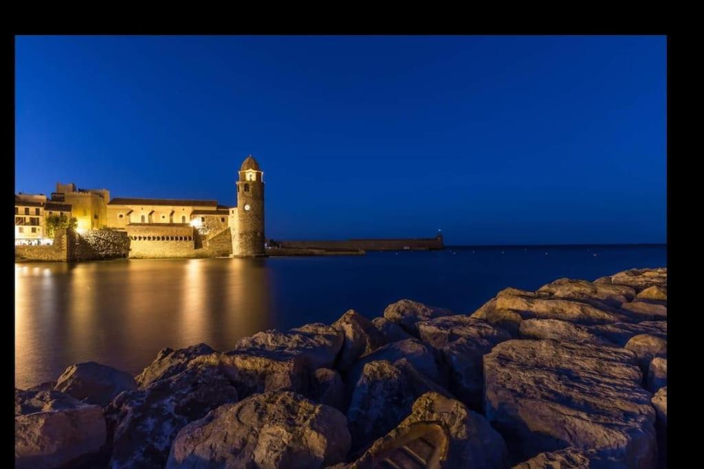Joli T2 Vue Au Calme. * Collioure